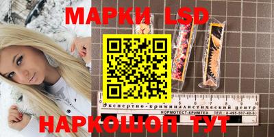 ГАЛЛЮЦИНОГЕННЫЕ ГРИБЫ Заволжье