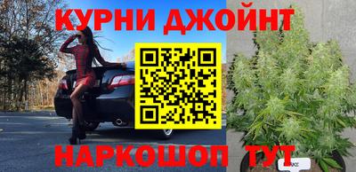 гидра Заводоуковск