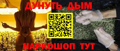 гидра Заводоуковск